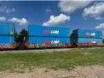 BNSF 239817